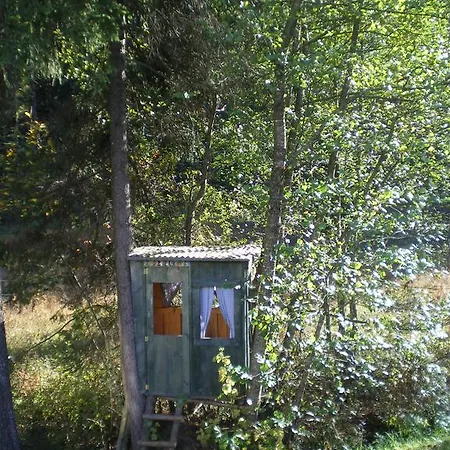 Apartment Haus Dorothea *